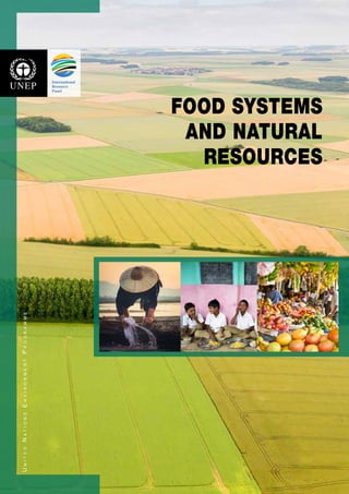 UnitedNationsEnvironmentProgramme
FOOD SYSTEMS
AND NATURAL
RESOURCES
 