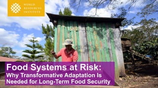 Food Systems at Risk:
Why Transformative Adaptation Is
Needed for Long-Term Food Security
 