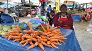 Sustainable food systems for the majority