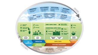 Sustainable food systems for the majority