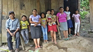 Sustainable food systems for the majority