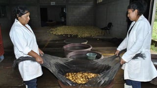 Sustainable food systems for the majority