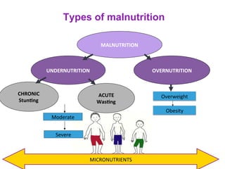 The role of food systems in improving maternal and child nutrition in challenging African low-income settings