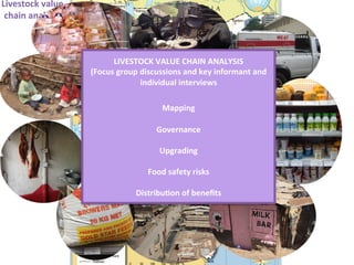 The role of food systems in improving maternal and child nutrition in challenging African low-income settings