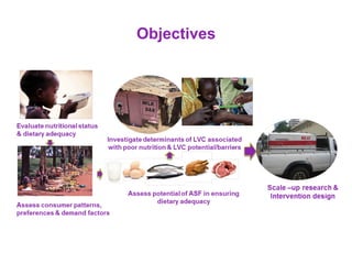 The role of food systems in improving maternal and child nutrition in challenging African low-income settings
