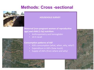 The role of food systems in improving maternal and child nutrition in challenging African low-income settings
