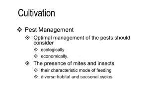  Pest Management 
 Optimal management of the pests should 
consider 
 ecologically 
 economically. 
 The presence of mites and insects 
 their characteristic mode of feeding 
 diverse habitat and seasonal cycles 
 