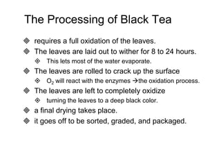 The Processing of Black Tea 
 requires a full oxidation of the leaves. 
 The leaves are laid out to wither for 8 to 24 hours. 
 This lets most of the water evaporate. 
 The leaves are rolled to crack up the surface 
 O2 will react with the enzymes the oxidation process. 
 The leaves are left to completely oxidize 
 turning the leaves to a deep black color. 
 a final drying takes place. 
 it goes off to be sorted, graded, and packaged. 
 