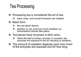  Processing tea is considered the art of tea. 
 taste, body, and overall character are created. 
 Basic form: 
 the raw green leaves 
 whether or not, and how much oxidation (or 
fermentation) should take place. 
 Tea leaves have enzymes in their veins. 
 When the leaf is broken, bruised, or crushed, the 
enzymes are exposed to the air resulting in oxidation. 
 The amount of oxidation depends upon how much 
of the enzymes are exposed and for how long. 
 