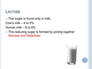 LACTOSE
 This sugar is found only in milk.
Cow‟s milk – 4 to 5%
Human milk – 6 to 8%
 This reducing sugar is formed by joining together
Glucose and Galactose.
 