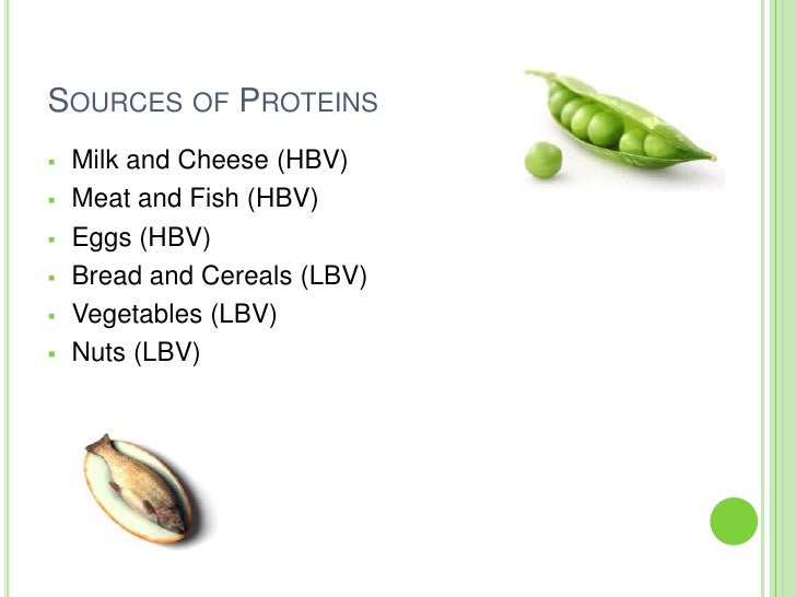 Food Technology Proteins