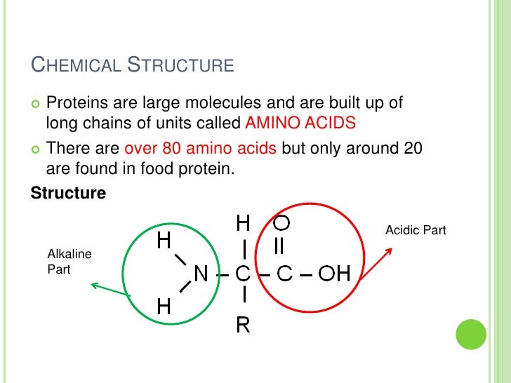 food technology proteins