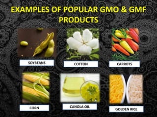 Gmf Examples Food technology GMF | PPTX