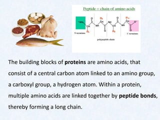 The building blocks of proteins are amino acids, that
consist of a central carbon atom linked to an amino group,
a carboxyl group, a hydrogen atom. Within a protein,
multiple amino acids are linked together by peptide bonds,
thereby forming a long chain.
 