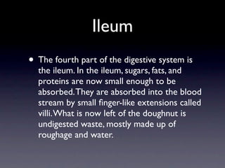 Ileum
• The fourth part of the digestive system is
  the ileum. In the ileum, sugars, fats, and
  proteins are now small enough to be
  absorbed. They are absorbed into the blood
  stream by small ﬁnger-like extensions called
  villi. What is now left of the doughnut is
  undigested waste, mostly made up of
  roughage and water.
 