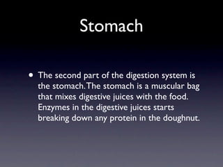 Stomach

• The second part of the digestion system is
  the stomach. The stomach is a muscular bag
  that mixes digestive juices with the food.
  Enzymes in the digestive juices starts
  breaking down any protein in the doughnut.
 
