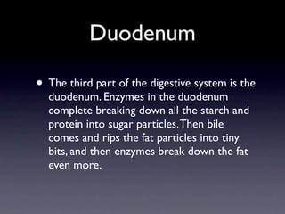Duodenum

• The third part of the digestive system is the
  duodenum. Enzymes in the duodenum
  complete breaking down all the starch and
  protein into sugar particles. Then bile
  comes and rips the fat particles into tiny
  bits, and then enzymes break down the fat
  even more.
 