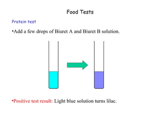 Food Tests
Protein test

•Add a few drops of Biuret A and Biuret B solution.




•Positive test result: Light blue solution turns lilac.
 