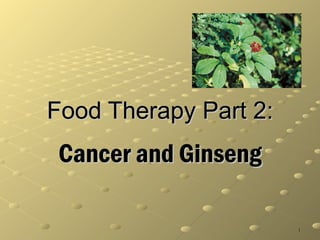Food Therapy Part 2: Cancer and Ginseng 