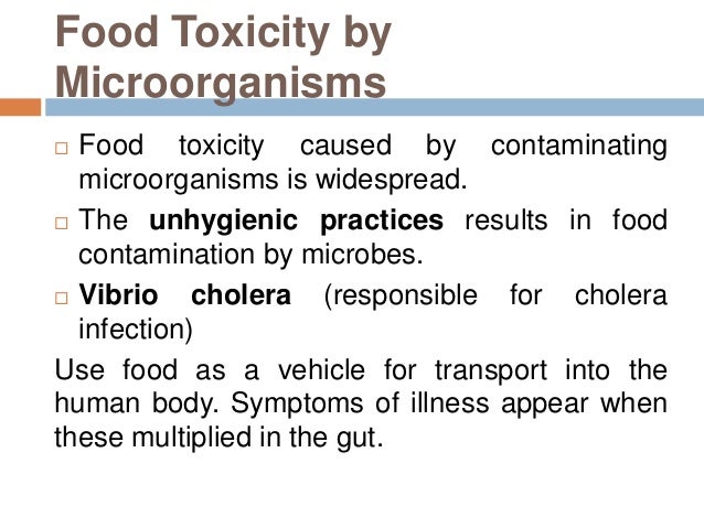 Food Toxicology