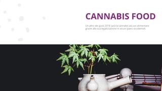 Copyright © 2017 GELLIFY S.p.A. All rights reserved.
Un altro dei gusti 2018 sarà la cannabis ad uso alimentare
grazie alla sua legalizzazione in alcuni paesi occidentali.
CANNABIS FOOD
 