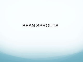 BEAN SPROUTS