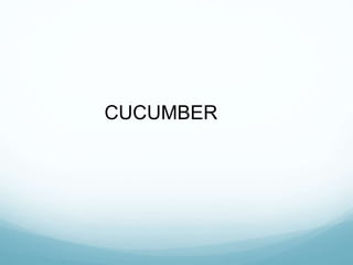 CUCUMBER