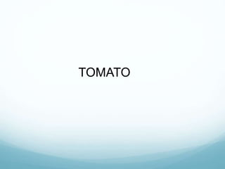 TOMATO