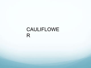 CAULIFLOWE
R