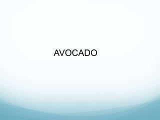 AVOCADO