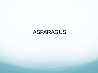 ASPARAGUS