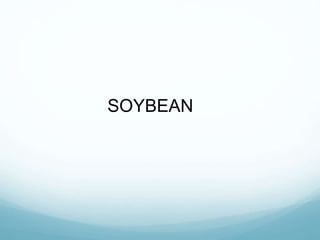 SOYBEAN