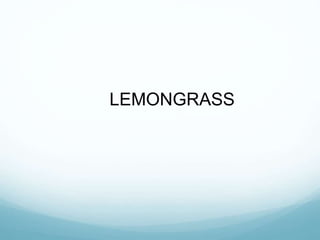LEMONGRASS
