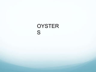 OYSTER
S