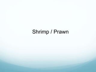 Shrimp / Prawn