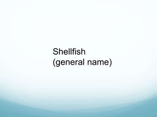 Shellfish
(general name)
