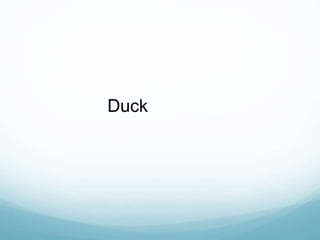 Duck