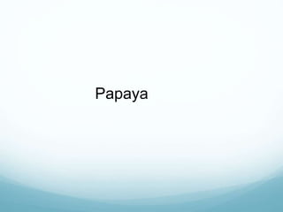 Papaya