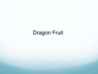 Dragon Fruit