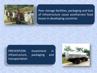 Poor storage facilities, packaging and lack
of infrastructure cause postharvest food
losses in developing countries
PREVENTION: Investment in
infrastructure, packaging and
transportation
 