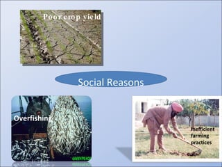 Social Reasons Poor crop yield Overfishing Inefficient farming practices