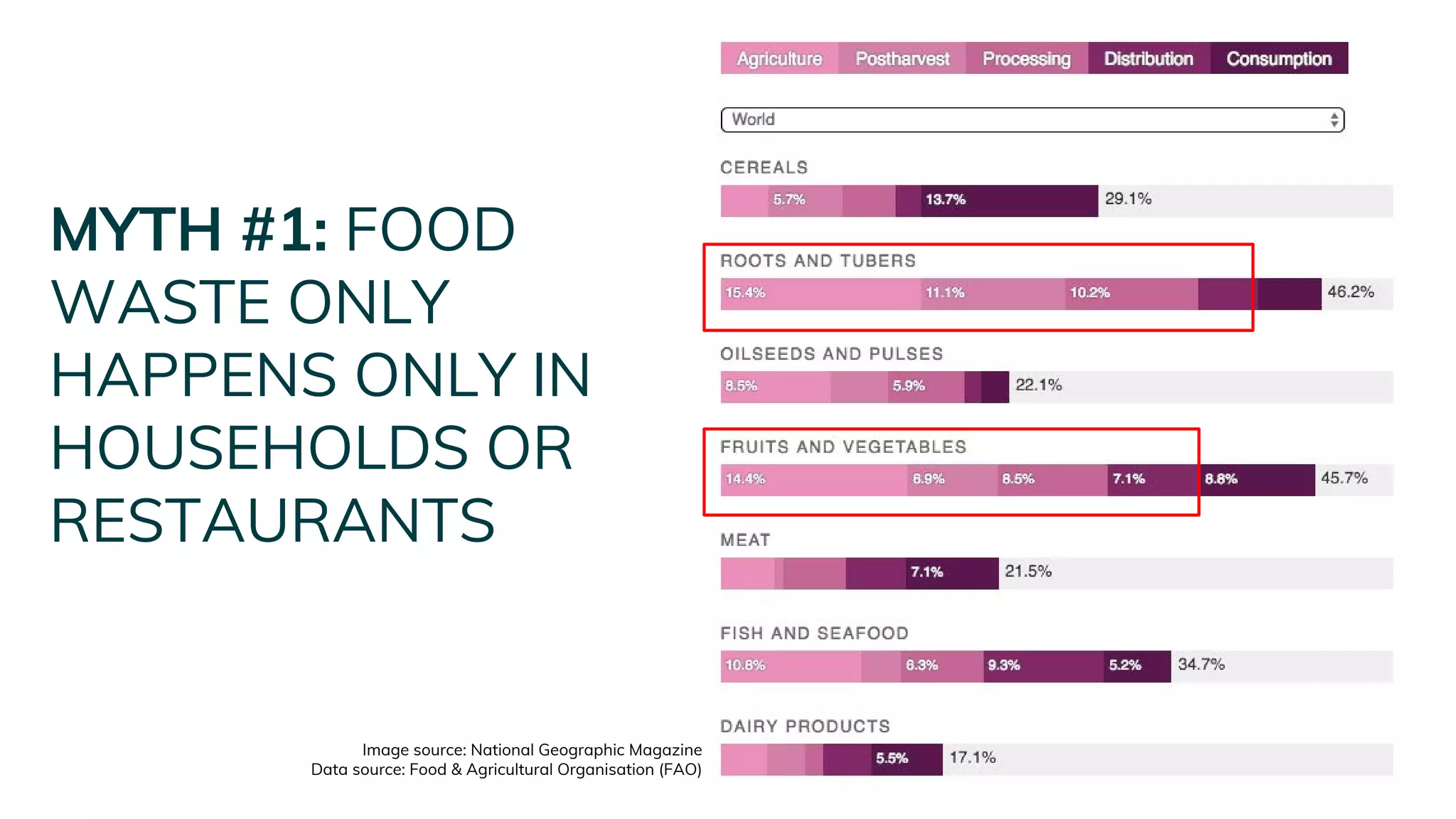 MYTH #1: FOOD
WASTE ONLY
HAPPENS ONLY IN
HOUSEHOLDS OR
RESTAURANTS
Image source: National Geographic Magazine
Data source: Food & Agricultural Organisation (FAO)
 