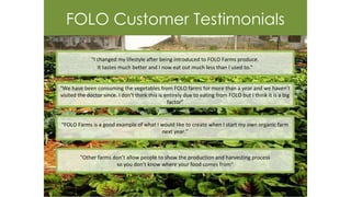 FOLO Customer Testimonials
"We have been consuming the vegetables from FOLO farms for more than a year and we haven't
visited the doctor since. I don't think this is entirely due to eating from FOLO but I think it is a big
factor"
"I changed my lifestyle after being introduced to FOLO Farms produce.
It tastes much better and I now eat out much less than I used to."
"Other farms don’t allow people to show the production and harvesting process
so you don't know where your food comes from"
“FOLO Farms is a good example of what I would like to create when I start my own organic farm
next year."
 