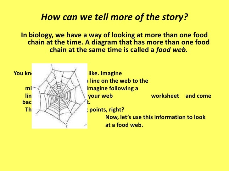 From Food Chain to Food Web
