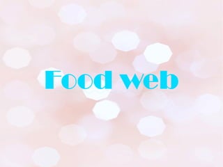 Food web
 