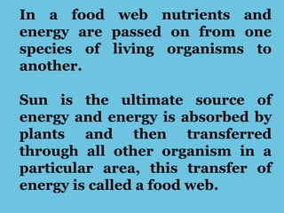 In a food web nutrients and
energy are passed on from one
species of living organisms to
another.
Sun is the ultimate source of
energy and energy is absorbed by
plants and then transferred
through all other organism in a
particular area, this transfer of
energy is called a food web.
 