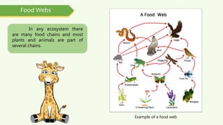 The Ecosystem in Nile River Basin Biology Diagrams