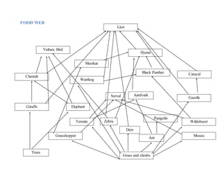 FOOD WEB
Lion
Vulture Bird
Cheetah
Giraffe
Hyena
Black Panther
Elephant
Warthog
Zebra
Aardvark
Grasshopper
Termite
Deer
Pangolin
Serval
Trees
Grass and shrubs
Mouse
Wildebeest
Gazelle
Caracal
Meerkat
Ant
 