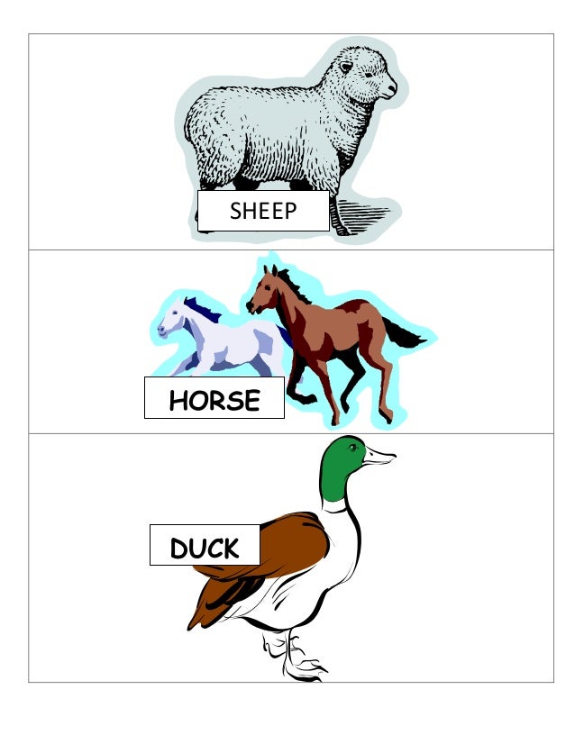 Food web and food chain connection game