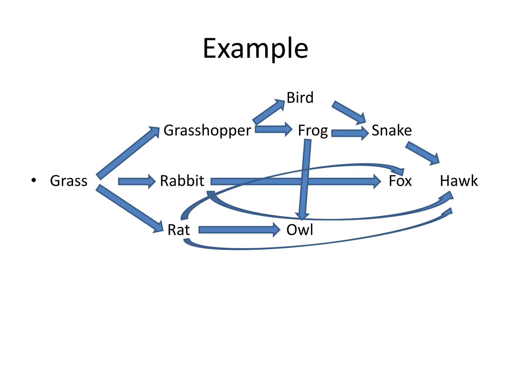 Example
Bird
Grasshopper Frog Snake
• Grass Rabbit Fox Hawk
Rat Owl
 